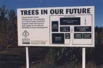 Sign introducing Alberta-Pacific's interest in developing a fast growing hybrid poplar suitable for farming on private land in Alberta