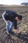 Checking the soil
