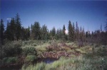 Wetland terrain in northeastern Alberta near Utikima Lake