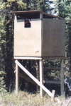 Biologist Dr. Eric Butterworth peeks out of an elevated plywood duck blind