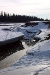Ice along the banks of the Red Deer River