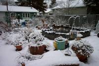 Highlight for album: Cheryl\'s Garden Journal 2004