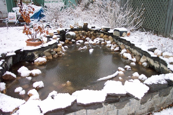 March 31, 2004 - The pond awaits.  The ice has thawed.  I just need to repile the rocks and top up the water.