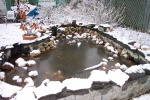 March 31, 2004 - The pond awaits.  The ice has thawed.  I just need to repile the rocks and top up the water.