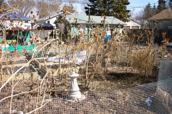 April 19, 2004 - The big cleanup!  With just a few traces of snow left, now its time to rake up the leaves, remove the dead  plants and get ready for another season of gardening.