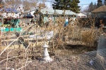 April 19, 2004 - The big cleanup!  With just a few traces of snow left, now its time to rake up the leaves, remove the dead  plants and get ready for another season of gardening.