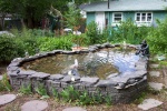 June 7, 2004 - Finally the pond is ready to go.  It was a lot of work cleaning out the bottom and restacking the rocks.  Next year, I'm not chasing after the fish that hide in the rocks.  The one's I rescued before it froze all died anyway a couple of days after I brought them inside and placed them in the aquarium.