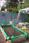 May 24, 2004 - I picked up this tomato frame from Canadian Tire.  Erecting the frame was pretty easy.  All the pieces are numbered, so if you can count 1,2,3.....