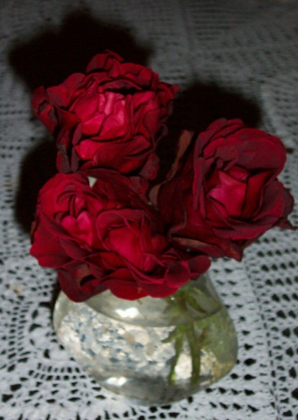 July 20, 2004 - Another spray of roses, these from the Don Juan climbing rose.  They remind me of the ruffled skirts of Spanish dancers.