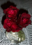 July 20, 2004 - Another spray of roses, these from the Don Juan climbing rose.  They remind me of the ruffled skirts of Spanish dancers.