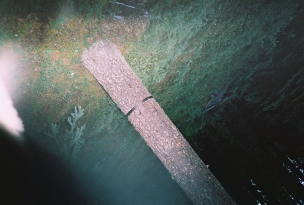 The cameras are mounted in trees and the picture is triggered by animals crossing an infrared motion sensor line.  Bears especially are attracted by the flash and will climb the trees and play with the cameras, dislodging them from their mounts