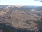This is a photo from our Aerial telemetry plane of
the Dogrib Burn 1-year post burn. The Ya Ha Tinda Ranch is visible in the
far upper right part of the picture. The open areas are the large salvage
logged areas in the Sunpine FMA portion of the burn. You can see the burned
and unsalvaged areas can be reduced effectively by salvage logging.