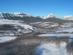 This picture clearly illustrates the differences
between salvaged and unsalvaged areas during winter 2004.