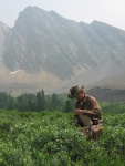 Researcher Mark Hebblewhite sampling vegetation near
Dogrib Creek in an unburned area.