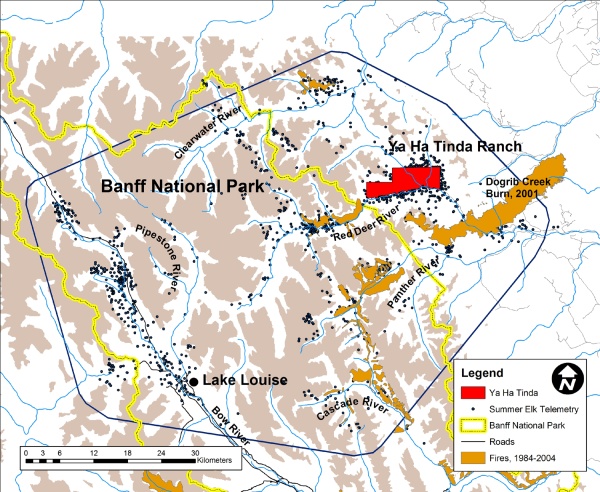 Map of Mark Hebblewhite's study area that includes the Yaha Tinda Ranch, Banff National Park and the Dogrib fire. Mark has been researching the interaction between elk and wolves.  One project funded by ACA Grants in Biodiversity looks at the impact of fire and salvage logging on elk migration.  Elk prefer the yummy grass that springs up in newly burned areas, so in the last few years, they stayed near the Yaha Tinda Ranch rather than migrate to Banff National Park in the summer.