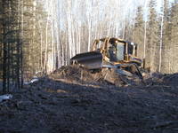 Highlight for album: Wellsite Reclamation Project