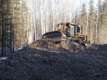 Bulldozer replacing top soil containing woody debris