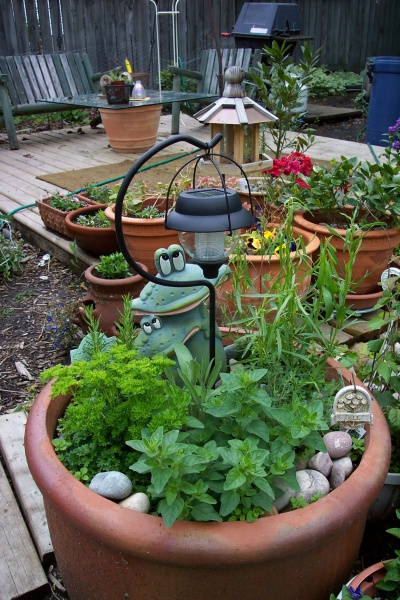 June 2005 - My herbs always seem to do better in this large urn.  I've layered the pot with stones to discourage weeds and to maintain moisture in the soil.