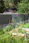 July 2, 2005 - Raised beds for cutting flowers and lettuce.