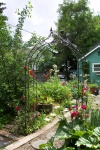 Jne 2, 2005 - The view from the back of the garden, with the roses growing up the wrought iron trellis.