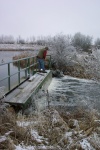November 6, 2005 - Naturalist Wayne Roberts walks across the dam to pick up traps.