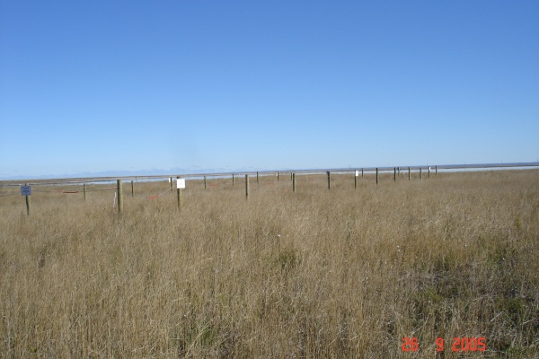 This is one of the reclamation sites that Jeff is studying.