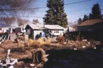 Snow's gone, now the work begins in the garden.