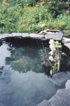 Goldfish and mermaids amid the cattails in the finished pond in Cheryl's garden.