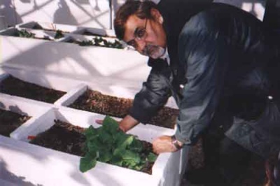 Dr. Moyhuddin Mirze with borage as a medicinal plant