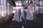 Part of greenhouse trials in diversified crops