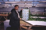 Dr. Mirza shows off hydroponic roots of East Indian plant grown in experimental greenhouse trials