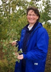 Another Chinese Aspen progeny