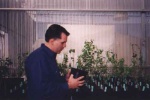 These are seedlings