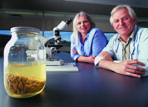 Robbin Gibb, the U of L's first Ph.D student